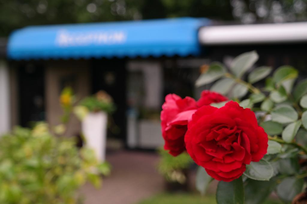 Am Hallenbad Hotel Garni Ratingen Exterior photo